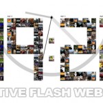 flash websites