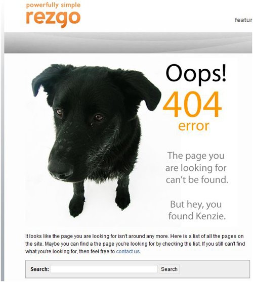 rezgo 404