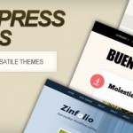 wordpress themes