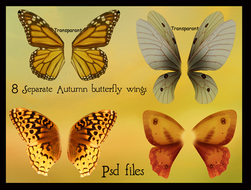 psd_autumn_butterfly_wings_set_by_Adaae_stock