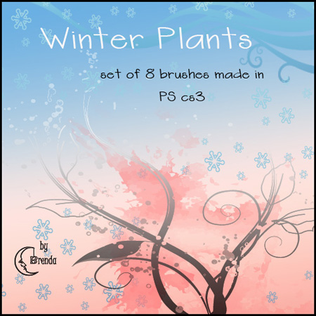 winter plants brushes