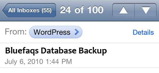 wordpress database backup