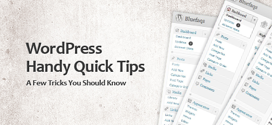 WordPress Quick Tips